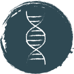 DNA TEST -  DEIN GENETISCHER CODE