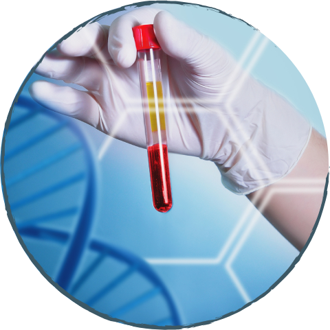 DNA TEST -  DEIN GENETISCHER CODE